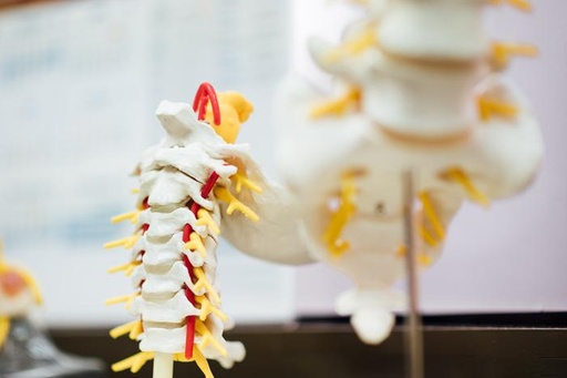 [Convicatoria libre] Curso de Aplicaciones médicas de la Impresión 3D Online